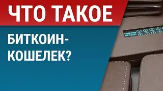 Что такое биткоин кошелек и какие они бывают