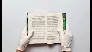 Даша и домовой. Лесные тайны