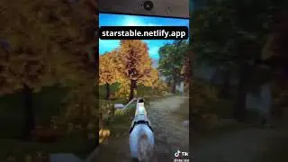 🔥 Free Star Coins for Star Stable 2024 🐴 | All Working Redeem Codes (SSO)
