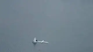 Toronto Plane Landing seen from the CN tower