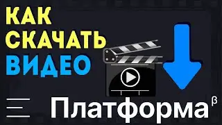 Как скачать видео на платформе, и на других площадках. Простой способ