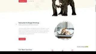 Beige - Pet Shop Woocommerce Elementor Template Kit grooming pet care