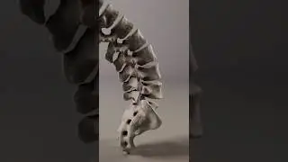 Unique visual of LOWER BACK FLEXIBILITY 
