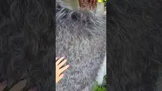 Пуховая косынка с богатым красивым пухом +79030300712