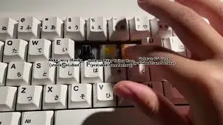 switch comparison: Gateron Milky Yellow Pro, Gateron EF Curry & Akko Jelly Blacks