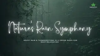 Nature's Rain Symphony: Heavy Rain & Thunderstorm in a Green Oasis for Deep Relaxation