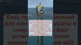 «Волны-убийцы»: как появляются самые страшные океанские волны