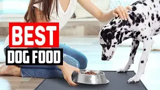 Top 5 Best Dog Food Mat For Messy Eaters in 2023