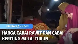 Harga Cabai Rawit dan Cabai keriting Mulai Turun | Liputan 6 Ambon