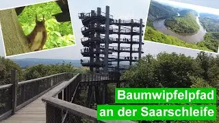 Baumwipfelpfad an der Saarschleife