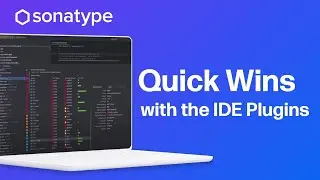 Quick Wins with the IDE Plugins