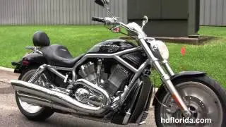 Used 2004 Harley Davidson VRSCA V Rod Motorcycles for sale in Florida