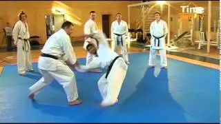 Син-сёбу каратэ. Валерий Галан. Школы и мастера.  В поисках совершенства.