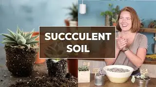 DIY SUCCULENT SOIL MIX & what to look for in pre-made mixes