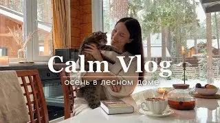 CALM VLOG: осень в лесном доме - почему мы переехали за город? 🏡