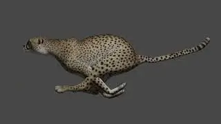 my second test with the bone dynamics addon in blender (cheetah tail dynamic)