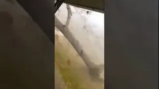 From Warning to Sudden Storm in Seconds