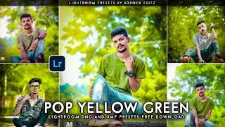 Pop Yellow Green - Lightroom DNG & XMP Presets Free | Dark green lightroom presets