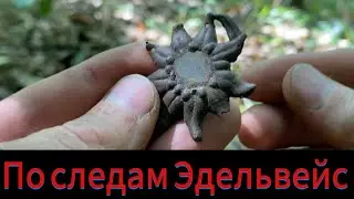 По следам наступавших Эдельвейс! Поиск с металлоискателем!!!