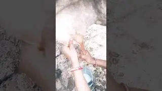 gau Mata ki kirpa se sab