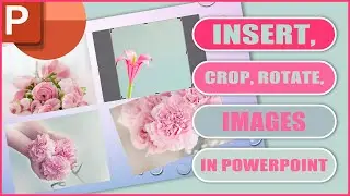 How to INSERT, CROP, ROTATE & ALIGN Images in Powerpoint | EASY TUTORIAL