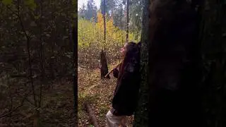 Здравствуйте, мои 24 🫀 больше уюта в тгк: заметки стеффи