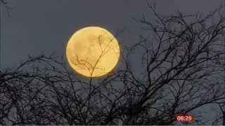 First full 'Wolf' Moon of 2020 (Earth/Space) - BBC News - 11th January 2020