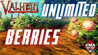 Valheim | How to Make a Berry Farm | Guide | Tips and Tricks