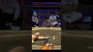 жёсткий нокаут Кисано vs Нисинори  Нагоя 2024 #japan #sumo #сумо #duel #япония #sport #mma #ufc