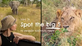 Cheap Safari Trip to Kruger / Things you NEED to know 🦁🌿