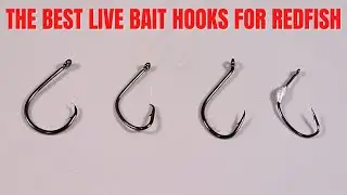 The Best Live Bait Hooks For Catching Redfish