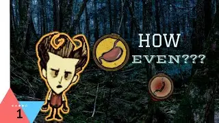 Starving is the Easy Part- BASEGAME Dont Starve