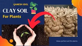 Ganesh idol clay soil for plants | How to use clay soil | Hindi