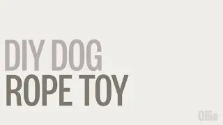 How to DIY a Dog Rope Toy