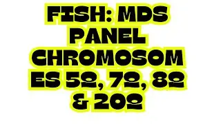 FISH: MDS PANEL CHROMOSOMES 5q, 7q, 8q & 20q