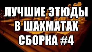 Лучшие шахматные этюды с решениями. Сборка №4. Шахматная композиция. Шахматы этюды. Избранные этюды