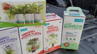 Windowsill Projects. Easy way to grow at home. Windowsill Garden,Grow fresh herbs on your windowsill