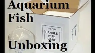 UNBOXING TROPICAL FISH FROM MY LOCAL AQUARIUM SHOP