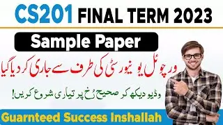 CS201 Final Term Paper 2023 | Sample Paper Issued | The Merciful Academy