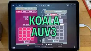 Koala as an AUV3 Plugin