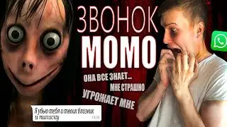МОМО / АННА ПОРТЕР [Что происходит в интернете]