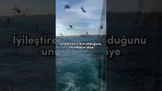 BU VİDEO SENİN İÇİN!