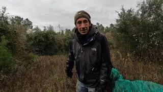 HORRIBLE DAY FOR THE LAST OLIVE HARVEST