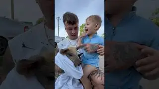 Реакция на нового любимца в тг: pavlov_family_