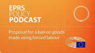 Proposal for a ban on goods made using forced labour [Policy podcast]