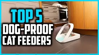 ✅Top 5 Best Dog Proof Cat Feeders On The Market In 2024 Reviews