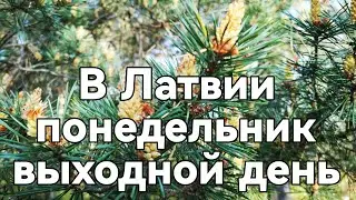 Латвия.Вот это поворот! 🙃В стране объявили выходной день