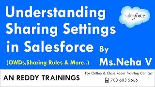 Sharing Settings In Salesforce | By Ms.Neha V | AN REDDY TRAININGS