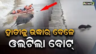 ODRAF Boat Capsizes During Tusker Rescue Operation in Mahanadi river barrage