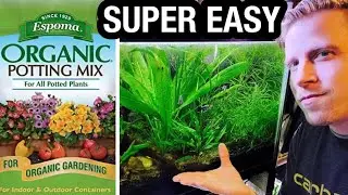 Setup a Fish Aquarium Using Dirt Potting Soil